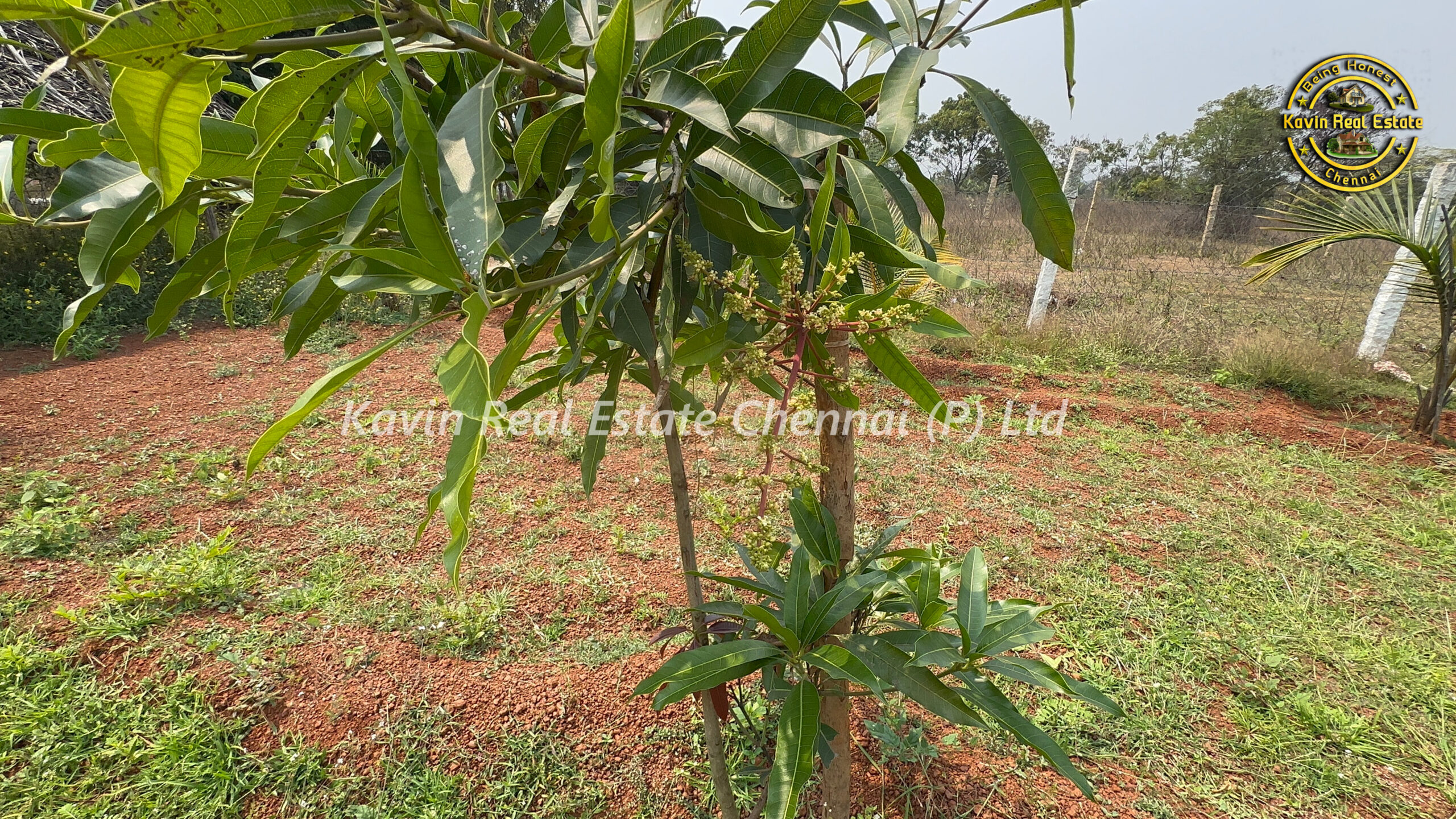 Mini Farm House for sale in Thiruvallur