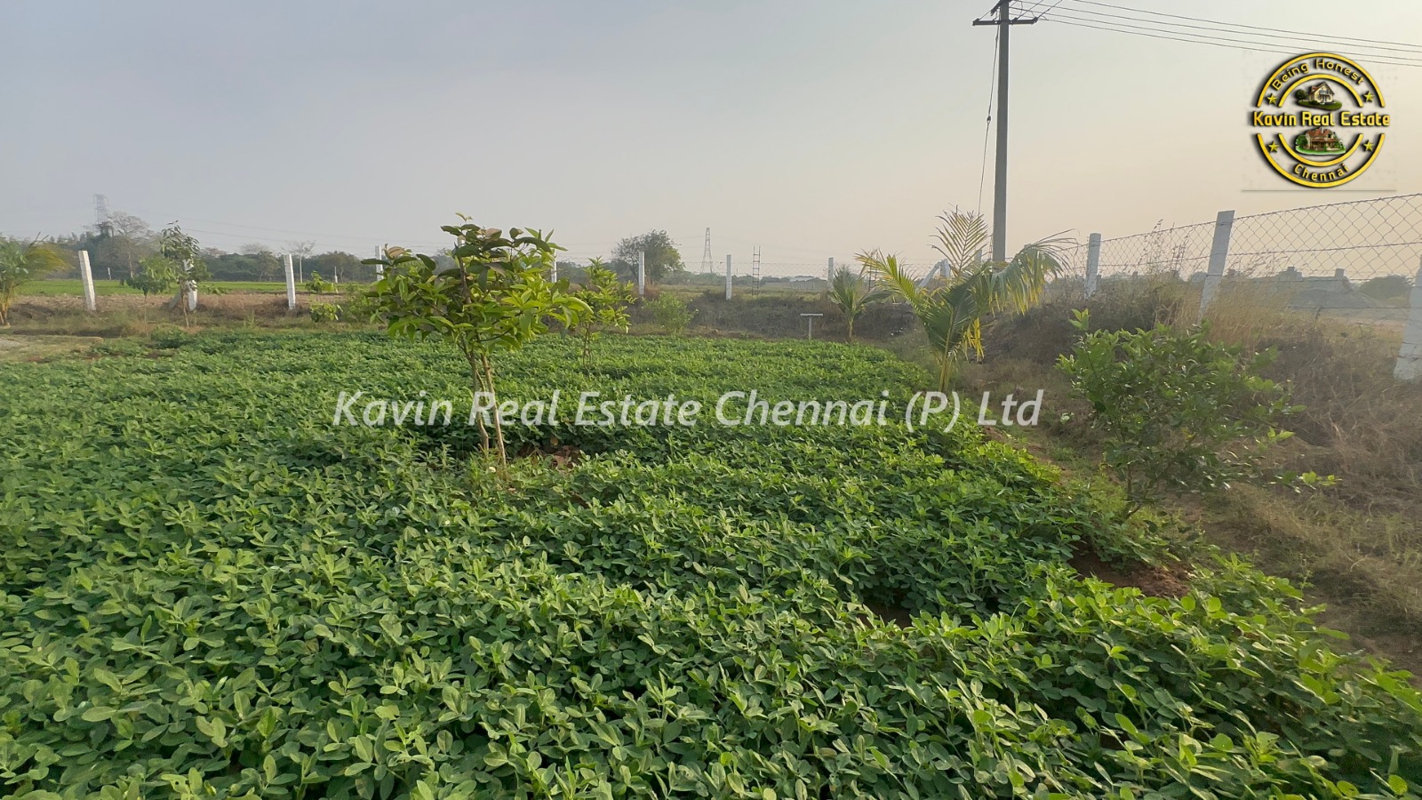 Mini Farm House for sale in Thiruvallur