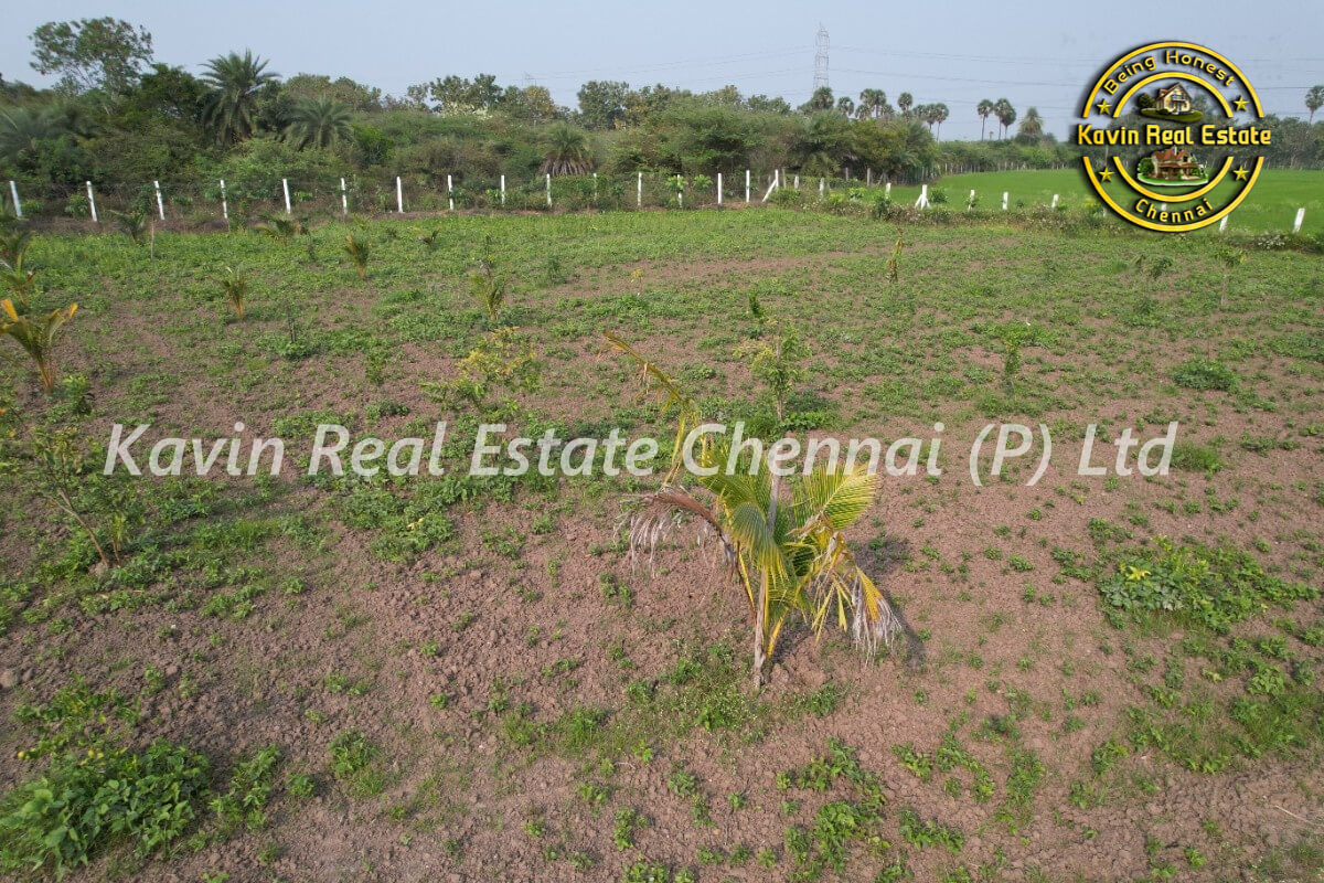 Farm Land for sale in Kanakammachathram