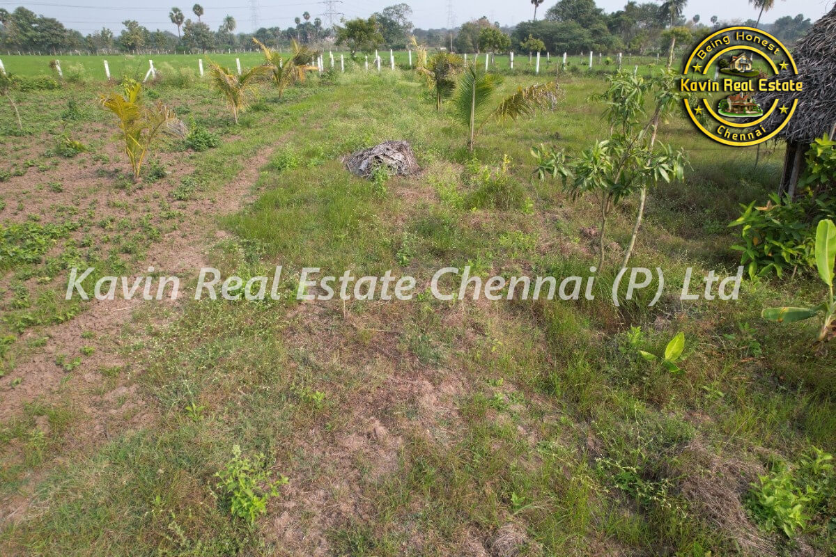 Farm Land for sale in Kanakammachathram